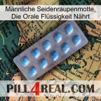 Männliche Seidenraupenmotte, Die Orale Flüssigkeit Nährt viagra3